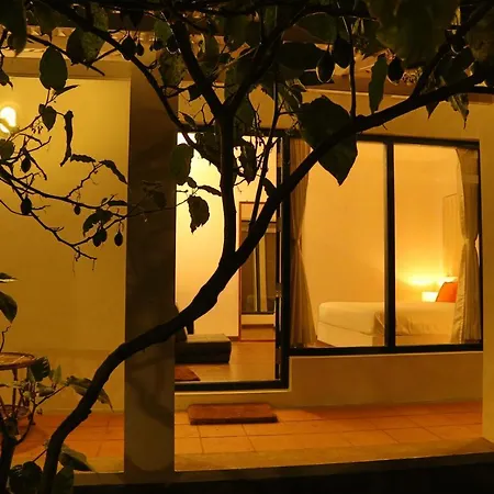 The Tamarillo-2
